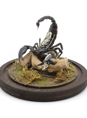 蒸汽朋克机械蝎子标本