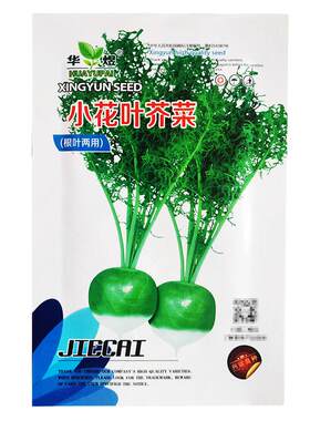 介菜种籽春秋季花叶疙瘩