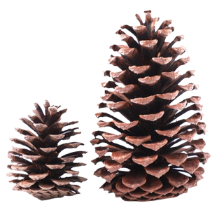 小仓鼠笼子专用造景装饰玩具松鼠金丝熊花枝鼠松果磨牙棒零食用品