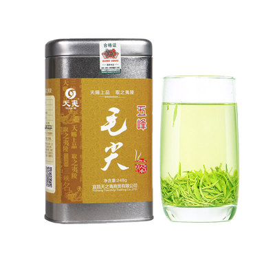 2025新茶【明前贡芽】五峰毛尖250g湖北宜昌采花特级高山春茶叶