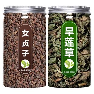 女贞子和墨旱莲茶包旱莲草中药材正品二至丸何首乌茶的功效与作用