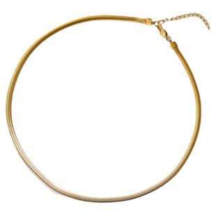 不掉色~意大利镀18K金软蛇骨链锁骨项链女毛衣链长款高级感小众