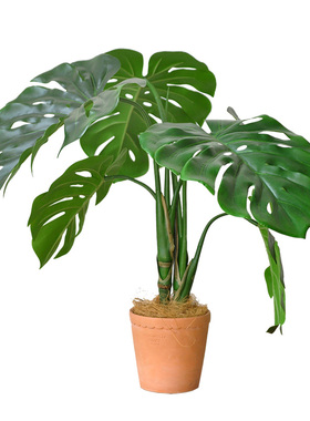 九思仿真绿植桌面装饰花艺