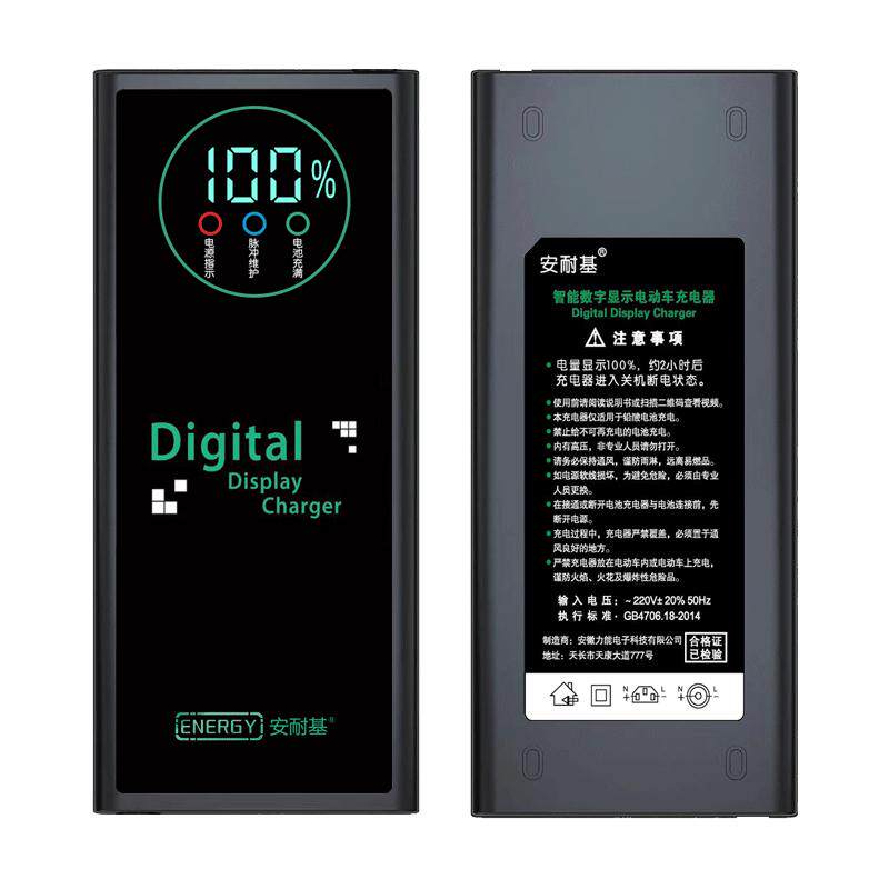 全新智能脉冲维护断电激活充电器