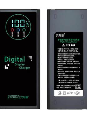 全新智能脉冲维护断电激活充电器