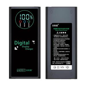 全新智能脉冲维护断电激活充电器