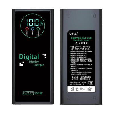 全新智能脉冲维护断电激活充电器