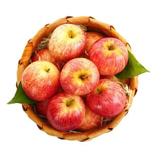 新西兰加力果6个/12个当季新鲜水果进口苹果顺丰包邮