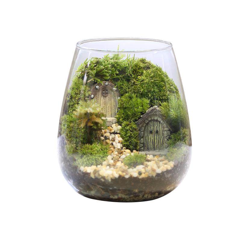 苔藓微景观diy材料生态瓶减压