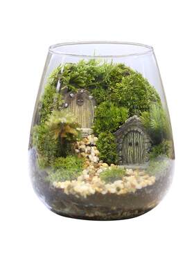 苔藓微景观diy材料生态瓶减压