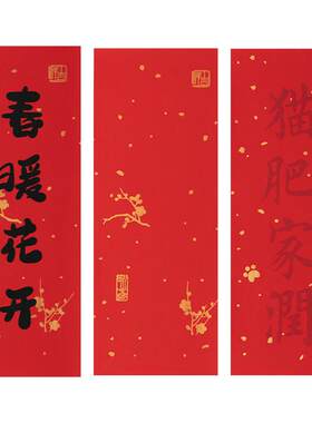 张小凤对联纸迷你红纸