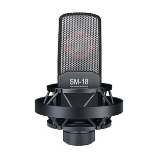 得胜SM-18麦克风直播设备全套声卡唱歌专用有声书录音家用k歌话筒