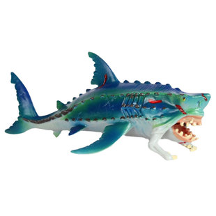 怪物鱼儿童仿真海洋动物鲨鱼模型玩具热带鱼实心静态塑胶摆件男孩