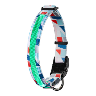 多尼斯狗狗项圈发光项圈脖圈大小狗宠物脖套夜间夜光狗项圈中型犬