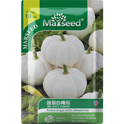 高产迷你白可爱南瓜种子