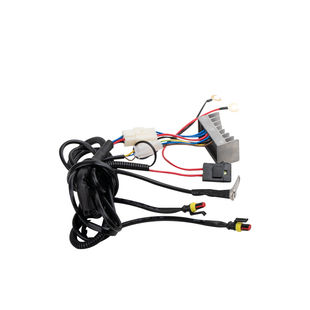 摩托车led射灯改装爆闪智能一拖二线组12v双闪控制器带开关继电器