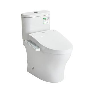 [焕新补贴] TOTO智能马桶即热卫洗丽家用妇洗坐便器CW802+460(02)
