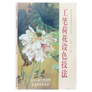 工笔荷花设色技法 花鸟画底稿详细设色调色步骤技法详解白描画稿 工笔荷花鸟临摹范本美术基础教学教材国画绘画自学临摹入门图谱