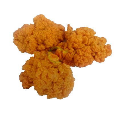 新鲜金耳菌500g椴木黄木耳