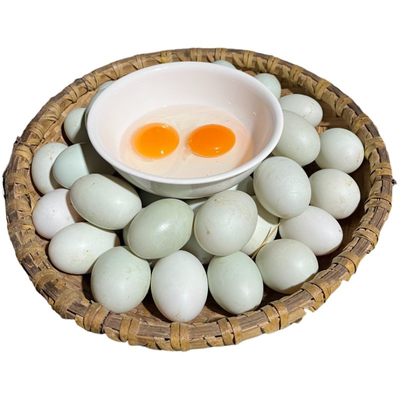 农家散养土鸭蛋当天现捡现发顺丰