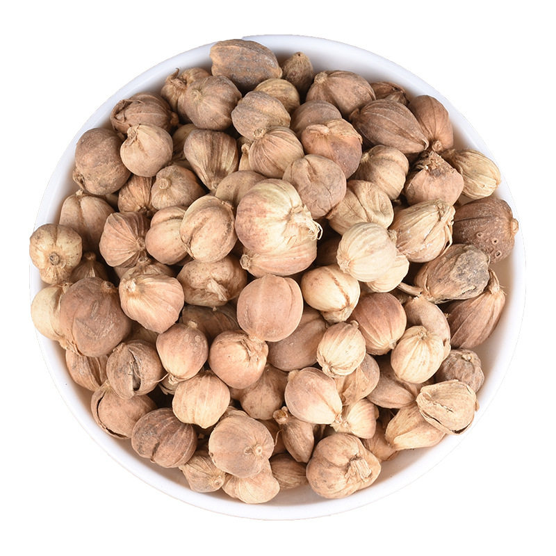 白豆蔻中药材食用香料白寇仁粉