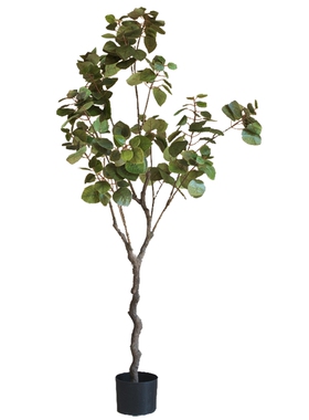 掬涵大型紫荆树盆栽仿真植物盆景