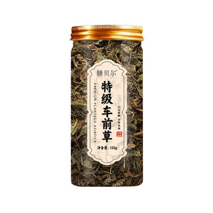 膳贝尔车前草泡茶泡水喝车前草干货袋泡茶车前草茶包代用茶