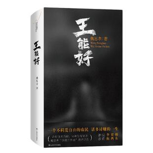 当当网 王能好（2024宝珀文学奖首奖得主魏思孝开辟之作。罗翔最欣赏之作：“在这部小 魏思孝 上海文艺出版社 正版书籍