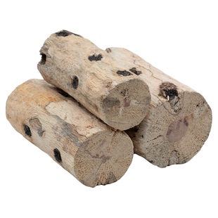 牧野虫社甲虫产木彩虹锹甲产卵木木屑巴拉望巨扁臂金龟繁殖木产房