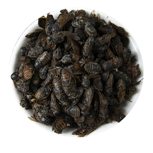 牛虻虫100克g 虻虫粉 牛虻 牛蚊子 正品牛苍蝇瞎虻虫牛虻干中药材