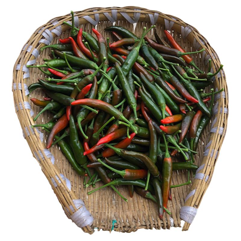 新鲜朝天椒小米辣乌辣椒泡椒材料