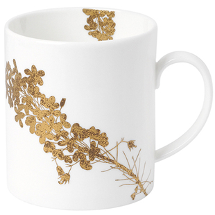 礼盒装WEDGWOOD威基伍德王薇薇VeraWang灿金花园骨瓷马克杯家用杯