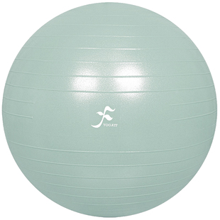一梵瑜伽球加厚防爆正品初学者健身球儿童孕妇分娩产后平衡大球