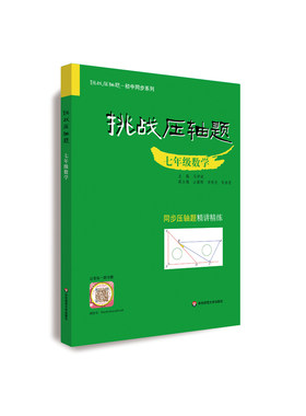 挑战压轴题同步精讲精练