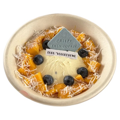 网红冷萃干噎酸奶纸碗可降解