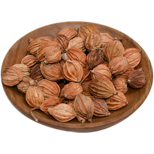 香砂仁500g川砂仁药材卤肉炖肉炖菜香料调料大全金砂仁香辛料大料