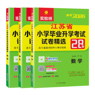 【江苏专用】26小升初语文数学英语小学毕业升学考试试卷精选28套苏教版春雨江苏13大市重点初中招生卷分班考试必刷题小升初真题卷