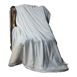 蚕丝被100%双宫桑蚕丝被子被芯全棉提花手工春秋被空调被夏凉被子