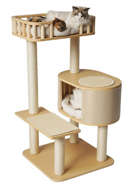 绿歌实木柱子猫爬架大型猫使用