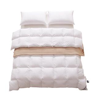 静音被子被芯羽绒被冬被95白鹅绒被加厚保暖秋冬季2025新款鹅绒被