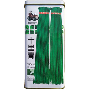 特长1.2米翠绿肉厚长豆角种子籽