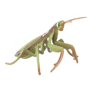 儿童玩具仿真动物昆虫模型蜘蛛天牛螳螂蝴蝶蚊子蜘蛛科教认知动物