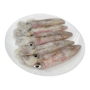 北海鱿鱼活冻鲜冻海鲜大笔管鱼芥末白灼火锅新鲜冷冻海兔火箭尤鱼