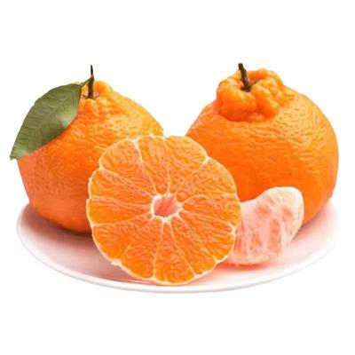 38号果冻橙薄皮甜橙子