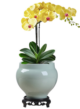 简约陶瓷白色大号苹果型花盆