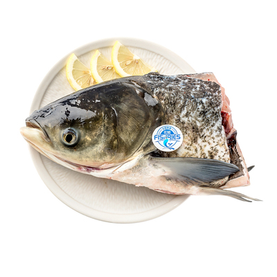 千岛湖花鲢鱼头新鲜现杀顺丰冷链
