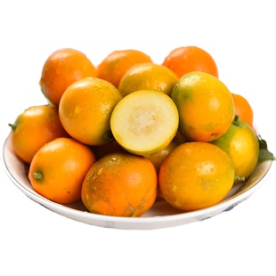 广西脆皮金桔纯甜不酸现摘当季新鲜水果小金桔子5斤包邮