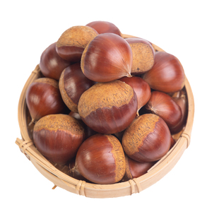 板栗生新鲜当季2025新鲜嫩野生板栗毛栗子农家板栗非锥栗小油栗子