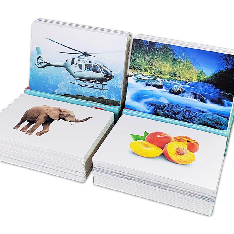 杜曼百科闪卡儿童早教全脑开发动物颜色乐器花卉果蔬看图识字大卡