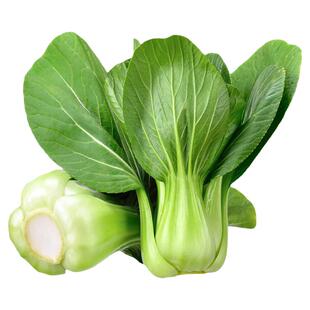 包邮广西桂林当季自种上海青新鲜农家蔬菜小青菜油菜矮脚青仔青苗